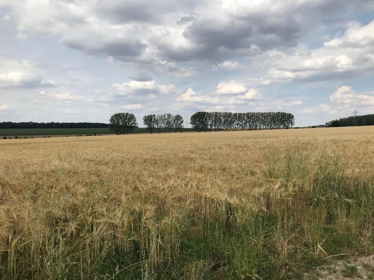 Ferienwohnung Pappelwiese Weimar  Eksteriør billede